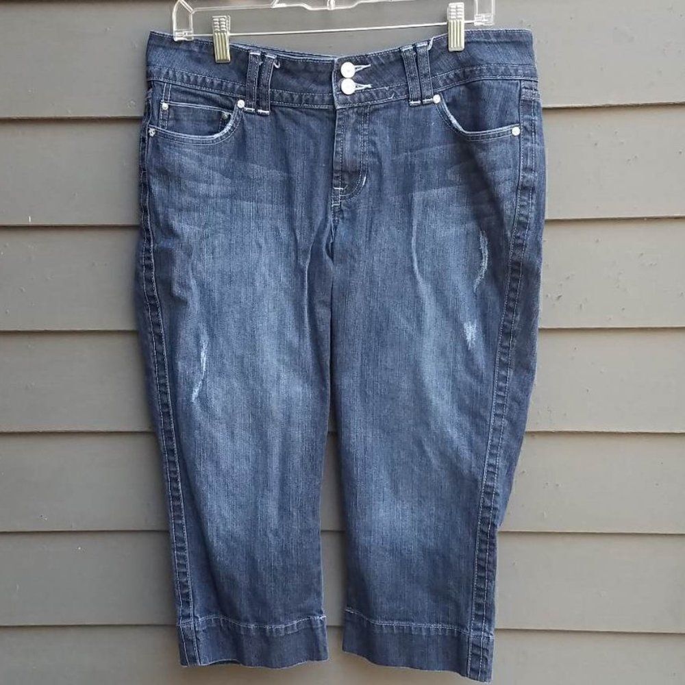 Ana Distressed Denim Cropped Jeans Size 12